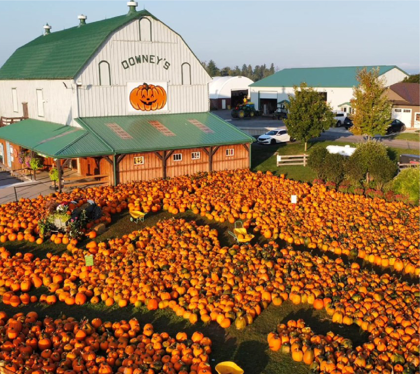 Downey's Farm