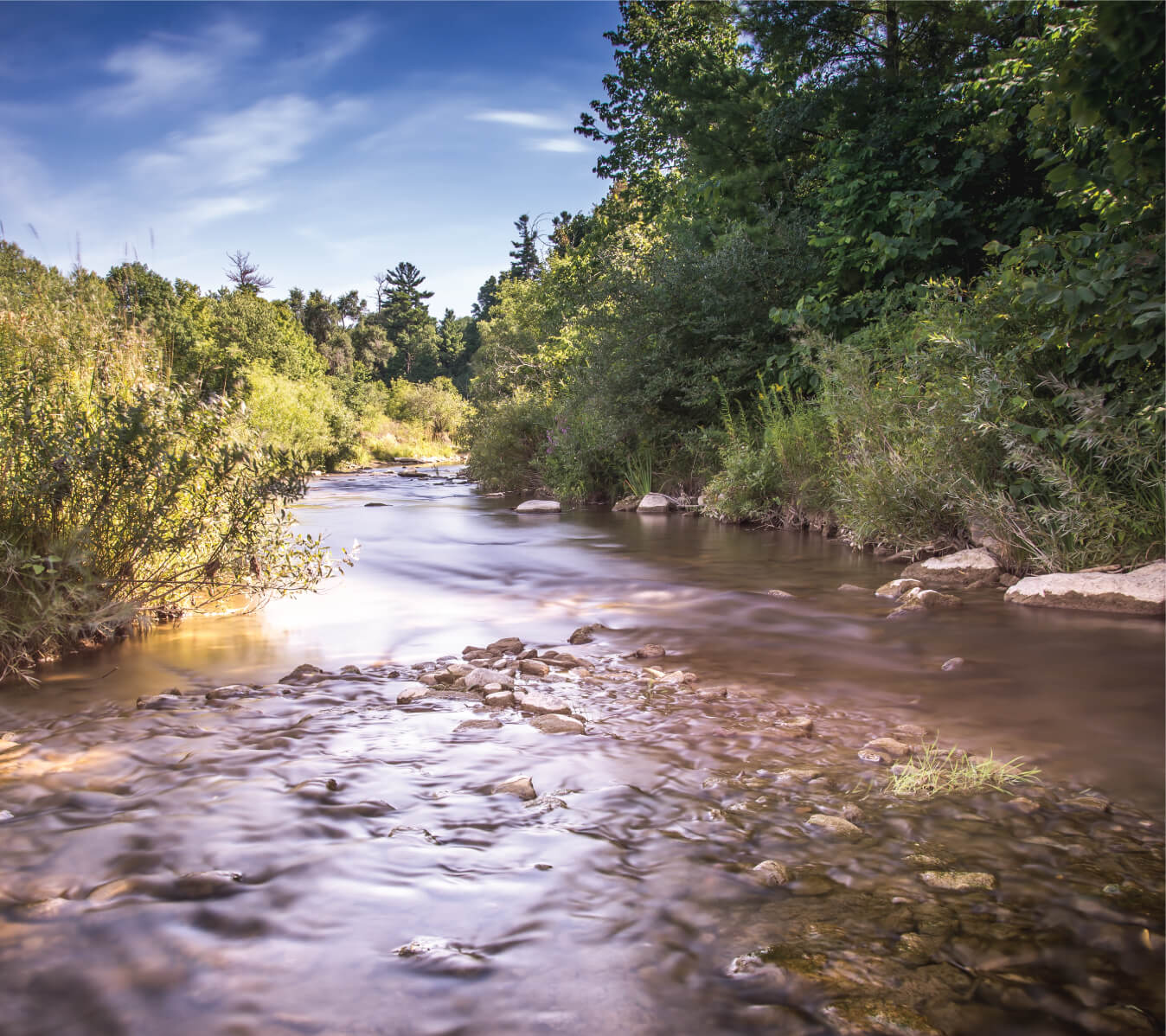 Landscape view of a gentle stream surrounded by vibrant greenery.