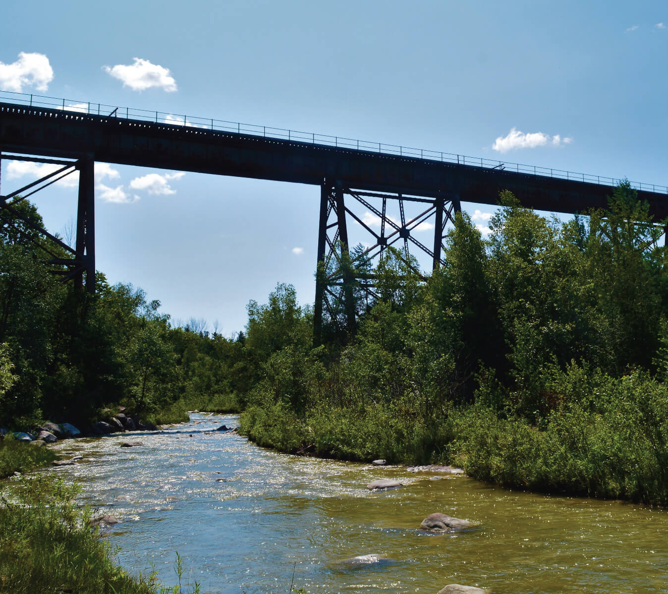 Summertime view of West Duffins Creek.
