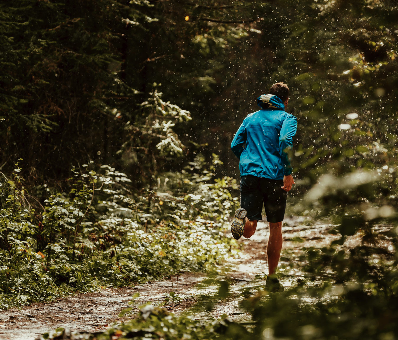 Boyd Conservation Area Trail